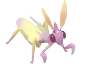 Conehead Mantis insect image