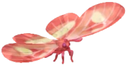 Frostspore Postman Butterfly insect image