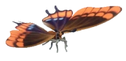 Mourning Cloak insect image