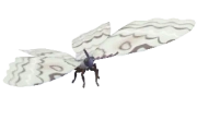 White Witch insect image