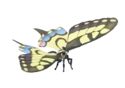 Old World Swallowtail insect image