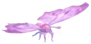 Frostspore Mother-of-Pearl insect image