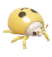 Asian Lady Beetle insect image