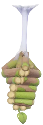 Bagworm Moth insect image