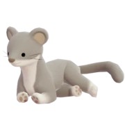 Ferret